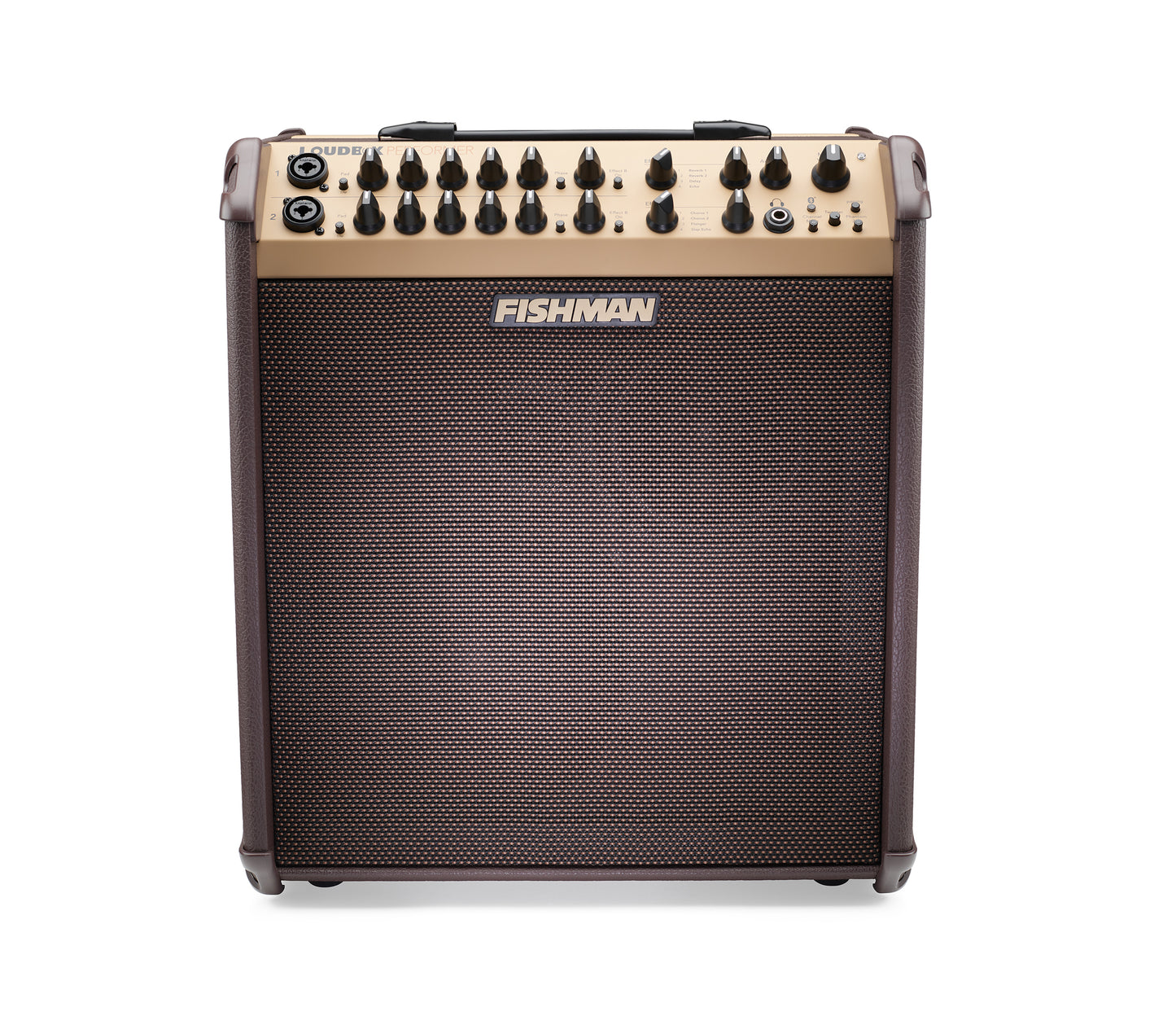 Fishman Loudbox Performer