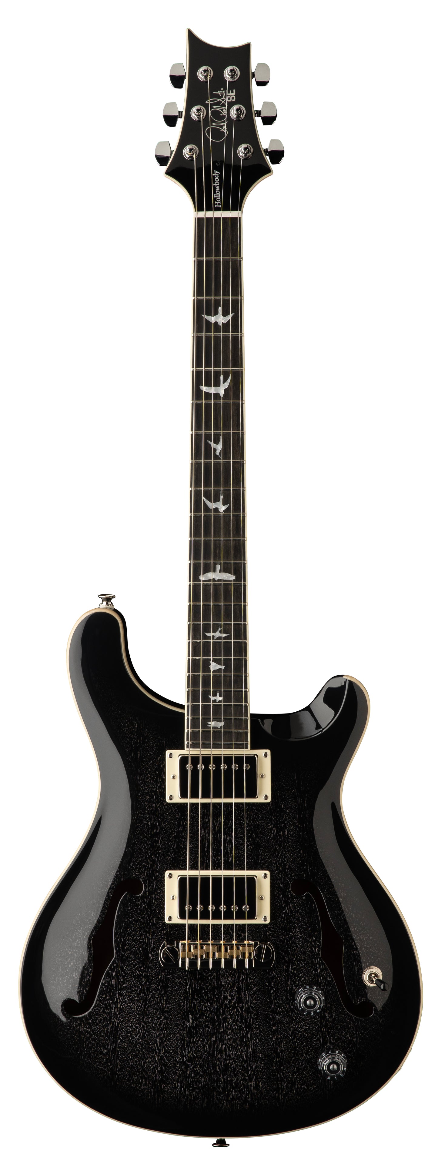 PRS SE Hollowbody Standard - Dog Hair Smokeburst