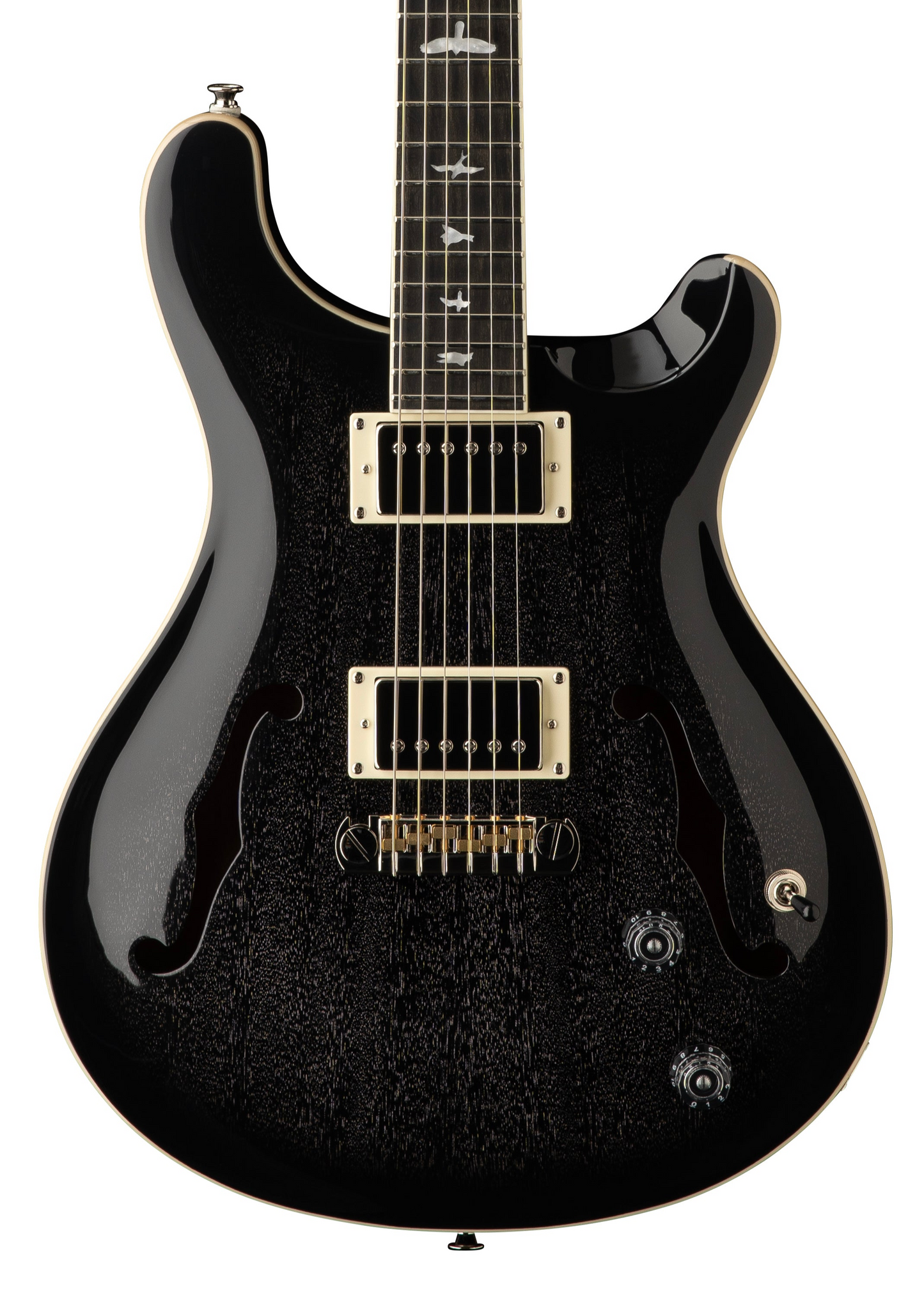 PRS SE Hollowbody Standard - Dog Hair Smokeburst