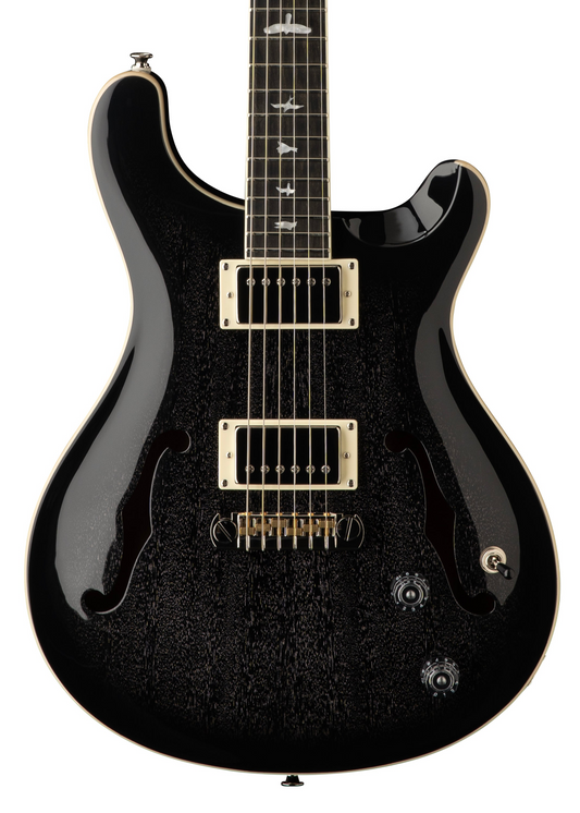 PRS SE Hollowbody Standard - Dog Hair Smokeburst