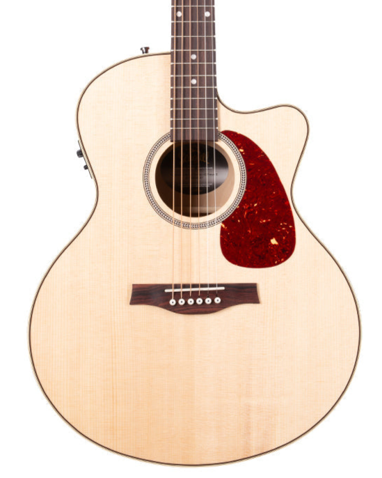 Seagull Performer C/A Mini Jumbo Electro-Acoustic Guitar ~ HG ~ PreSys II with Bag