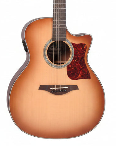 Vintage VGA990 Electro-Acoustic Sweetwater Guitar - Sunburst
