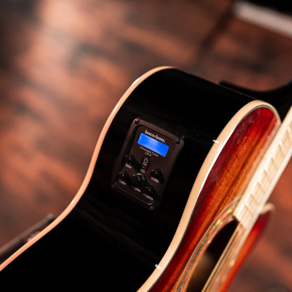 Washburn EA55G Festival Series Mini Jumbo Cutaway - Koa Burst