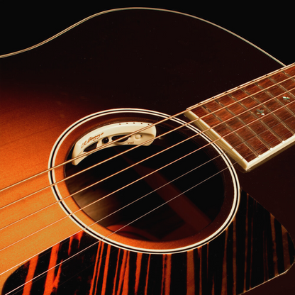 LR Baggs Anthem Element/Mic Pickup System