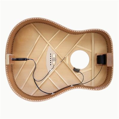 LR Baggs Anthem SL Element/Mic Pickup System