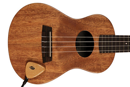 KNA AP-1 Pickup