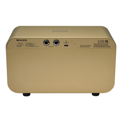 Mooer Future F15i Li Intelligent Desktop Amp