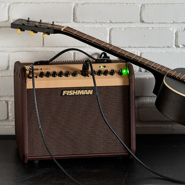 Fishman Loudbox Mini
