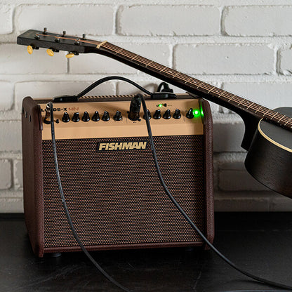 Fishman Loudbox Mini