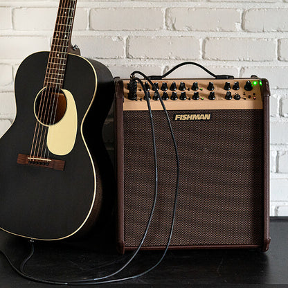 Fishman Loudbox Performer
