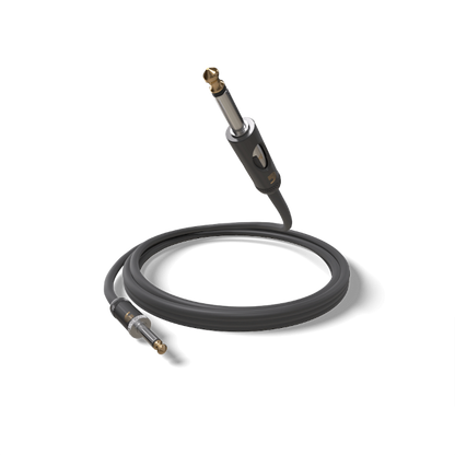 D'Addario American Stage Kill Switch Instrument Cable