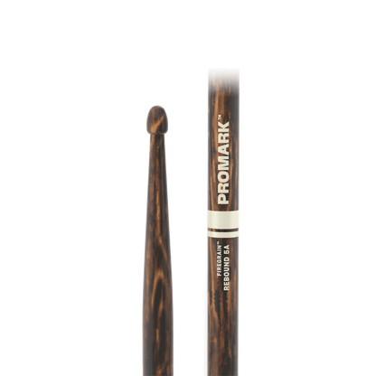 ProMark Rebound 5A FireGrain Hickory Drumstick - Acorn Wood Tip