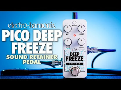 EHX Pico Deep Freeze