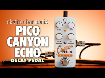 EHX Pico Canyon Echo