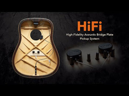 LR Baggs HiFi Pickup