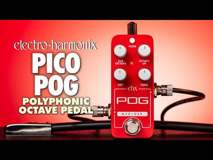 EHX Pico POG