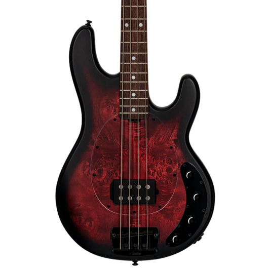 Sterling by Music Man Stingray RAY34 Rosewood Neck - Poplar Burl Dark Scarlet Burst